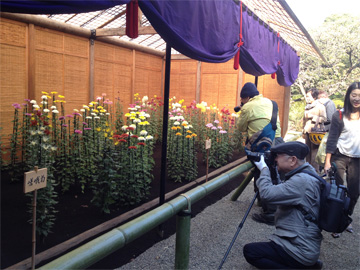 四季折々の自然が楽しめる新宿御苑は写真と絵画に興じる方がとても多い