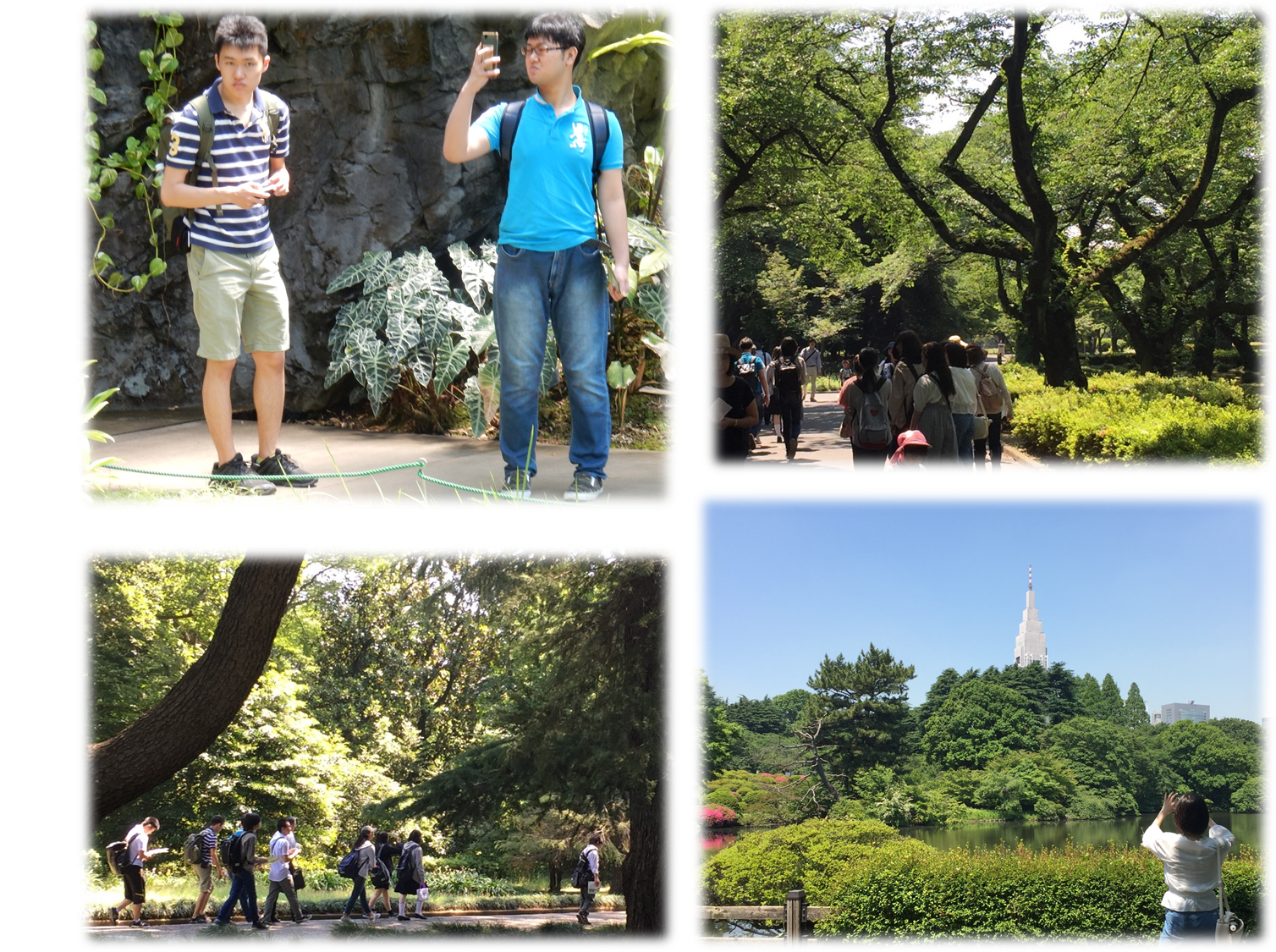 フォトコンテスト 稲門高等学院 東京