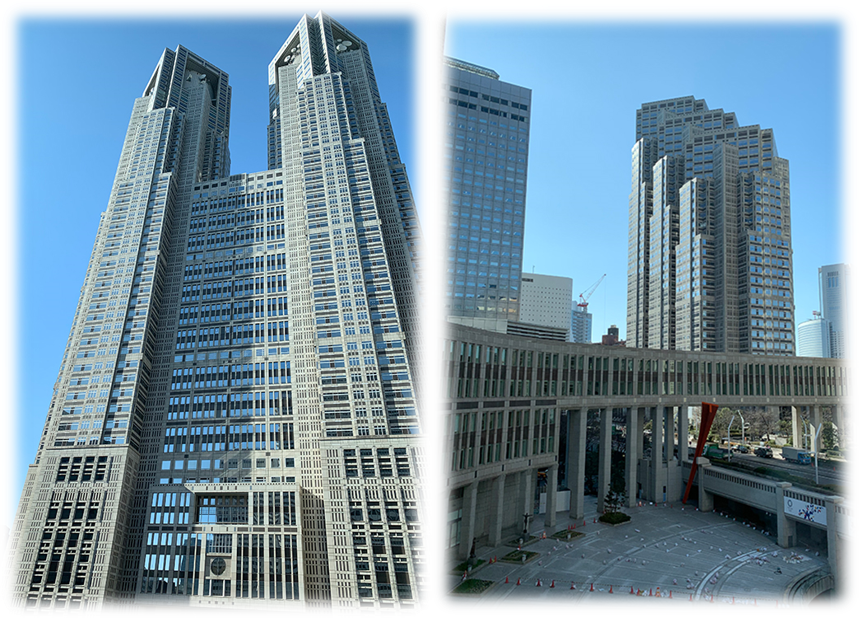 都庁見学 稲門高等学院 東京